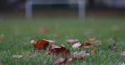 herbst mini