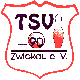 TSV 90 Zwickau