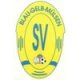 SV Blau-Gelb Mülsen