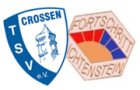 tsvlichtenstein