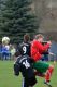 limbach23031407