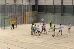 hbniederwiesa203011501