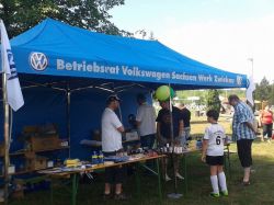 vwcup201403