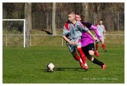 afriedrichsgruen25031701