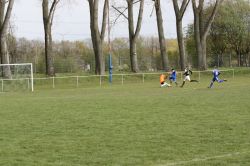 gelenau23041716