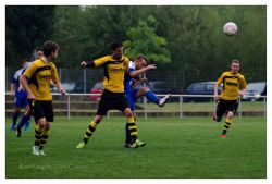 plauen218091604