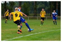 plauen218091606