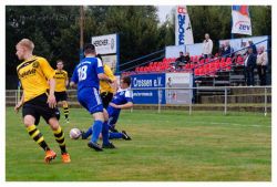 plauen218091607