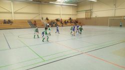 hallencup201821