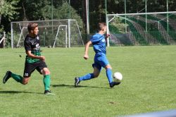 thalheim12081708