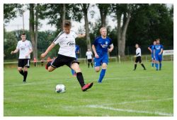 bwhartmannsdorf020820_05