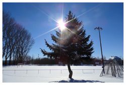 sportforum_winter_03