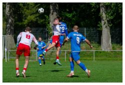 tsv_meerane_23082610