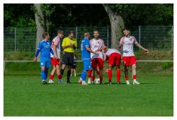 tsv_meerane_23082625