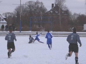 muelsen15020903