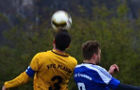 vfcplauen2071214mini